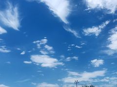 -蜜雪冰城(浙江大学店)