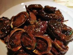 酱焖小鲍鱼-日丰园海肠水饺·老字号大连海鲜(和平广场店)