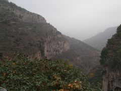 -黄花溪
