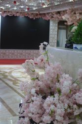 -重庆军美医疗美容医院