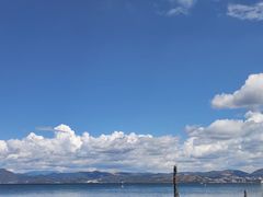 -洱海月湿地公园
