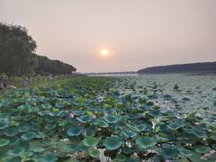 -丁香湖公园