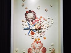 -青岛贝壳博物馆