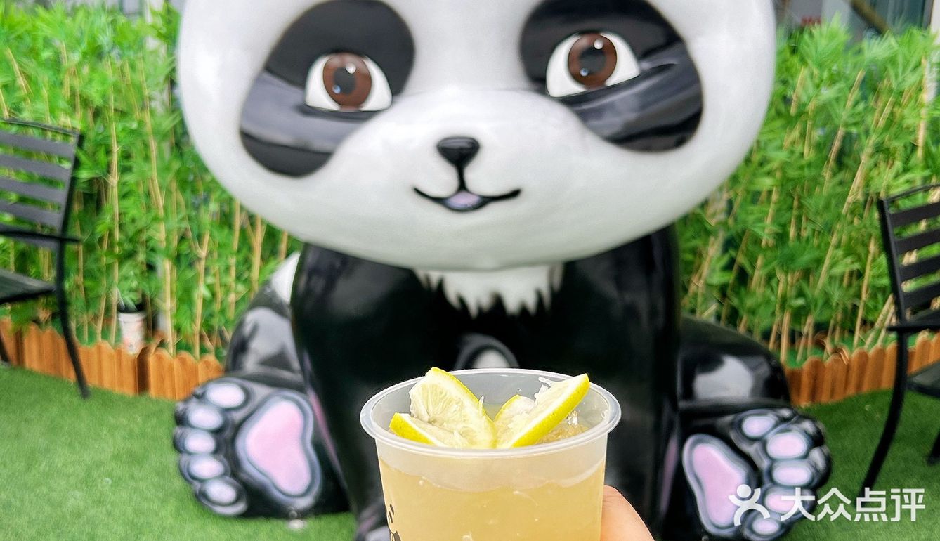 乌鲁木齐快冲！快冲！大熊猫来啦