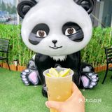 乌鲁木齐快冲！快冲！大熊猫来啦
