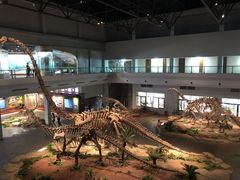 -自贡恐龙博物馆