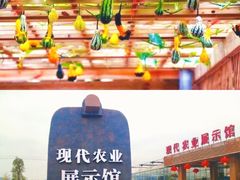 -东南花都花博园