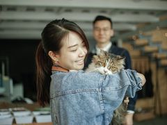 店内有几只可爱的小猫咪，可以撸猫哦-五月木作·DIY木作文创体验店(北京路店)