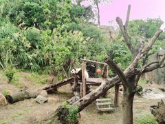 -宁波野生动物园