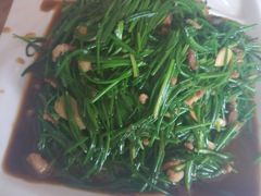 -正蓝旗草原特蒙餐