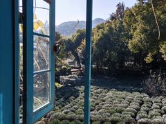 -野蔓果·山野菜(西湖景区·龙井茶田店)