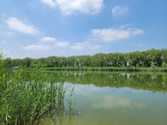 -大兴滨河森林公园