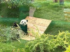 -无锡动物园·太湖欢乐园