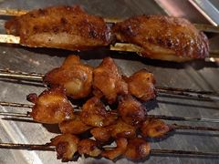 -福苗小骆驼烧烤(莲湖路店)