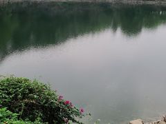 -王借岗森林公园