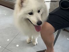 -宠颐生猫科·内科皮肤科(西平世纪城店)