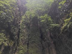 -野三坡百里峡景区