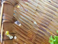-三个四川人火锅(华联商厦店)