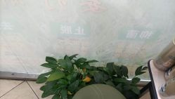 点击看大图 -环球蝶上美业连锁