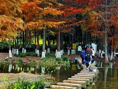 -重庆彩云湖湿地公园