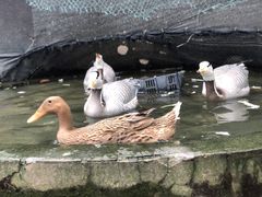-西安世博园