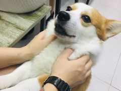 -小梁哥云吞面(黄贝岭店)