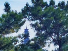 -龙口南山旅游景区