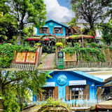 成都下午茶｜森林木屋的悠闲