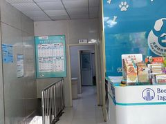 -关爱动物医院·心脏·中兽医·异宠(金牛路分院)