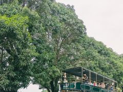 -赤坎·广东华侨国际旅游度假区