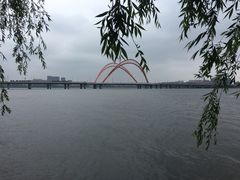 -艾溪湖湿地公园