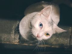 -张记牛肉面馆(天津路店)