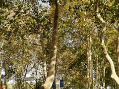 -古都历食南京菜·烤鸭·鸭血粉丝·汤包(南京博物院店)