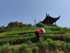 -石潭村
