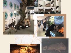 -北京第二实验小学