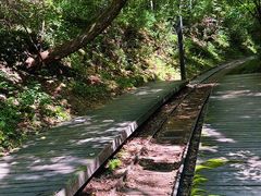 -五营红松林海景区