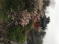 龙头岩-龙头岩(Dragon Head Rock)
