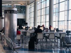 -纽瓦克自由国际机场