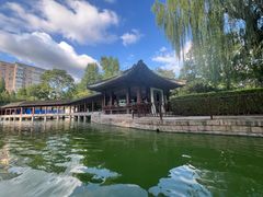-团结湖公园