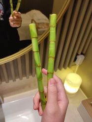 -8SPA养愈空间·新中式疗愈spa