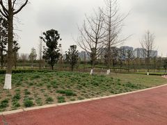 -眉山湿地公园(东坡区)