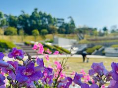 -白石龙音乐公园