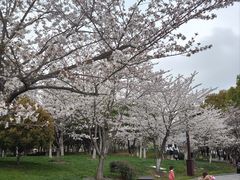 -堤角公园