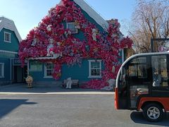 -荷兰花海