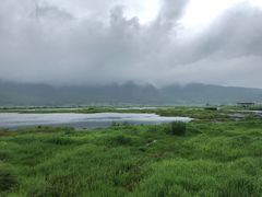 -腾冲北海湿地