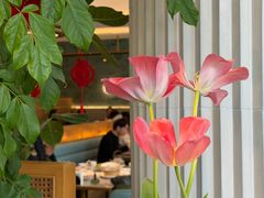 -陶兰居·手工点心·粤菜(圆融时代广场店)