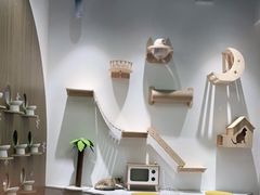 -COLOR PETS 撸猫馆·购猫·猫咖(长风大悦城店)