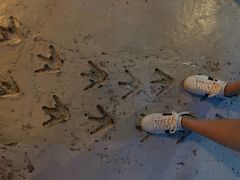 -暹罗海洋世界