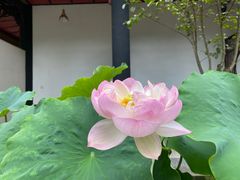-宝光寺