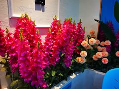 -花椒俏川菜小馆(南海万达店)